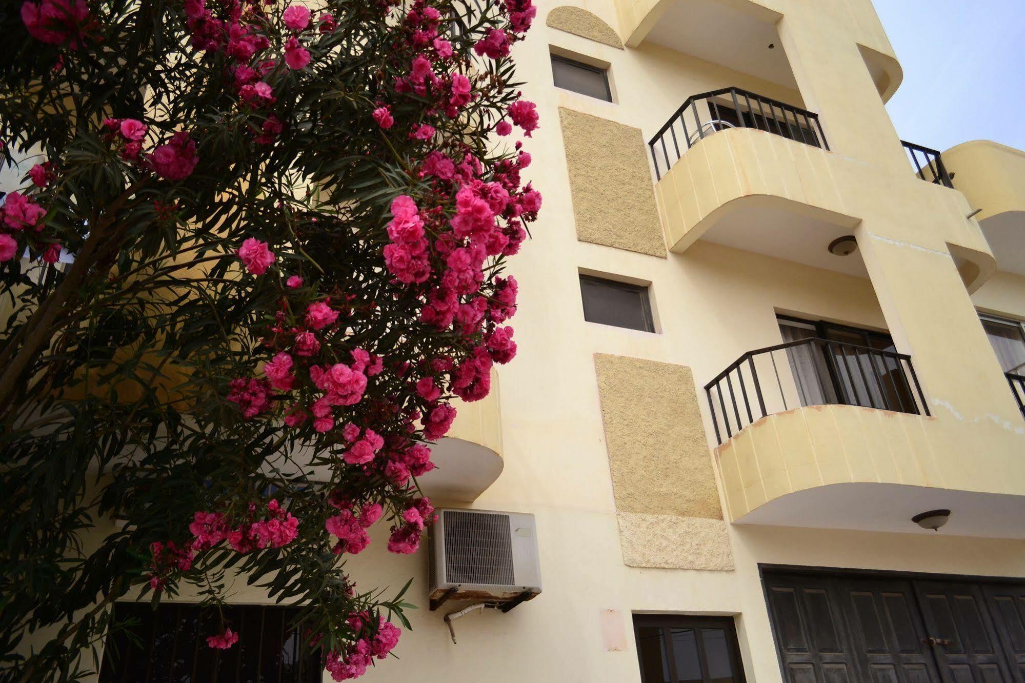 Hotel Central Sal Santa María Exterior foto